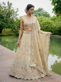 Beige Tissue Lahenga with Mirror sequince Embroidery