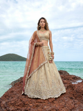 Rust Brown Tissue Lahenga with Beads & Zari Embroidery