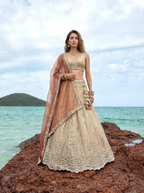 Rust Brown Tissue Lahenga with Beads & Zari Embroidery