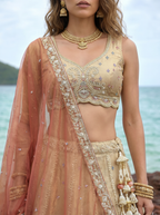 Rust Brown Tissue Lahenga with Beads & Zari Embroidery