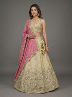 Beige Tissue Lahenga with Sequince Embroidery