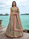 Shade of Teal Tissue Lahenga with Sequince Embroidery