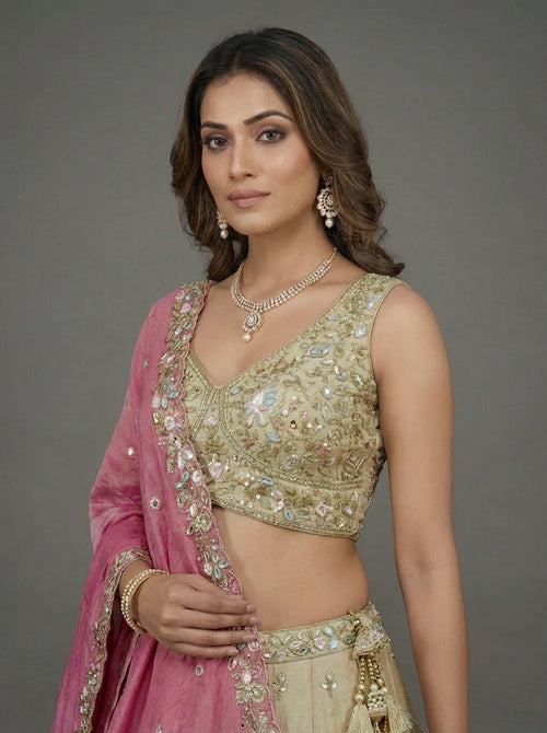Beige Tissue Lahenga with Sequince Embroidery