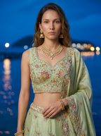 Pista Green Organza Lahenga with Zarkan & Sequince Embroidery