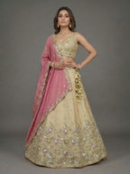 Beige Tissue Lahenga with Sequince Embroidery