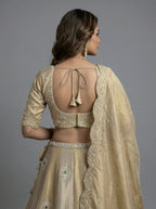 Golden Tissue Lahenga with Beads Embroidery