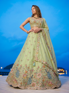 Pista Green Organza Lahenga with Zarkan & Sequince Embroidery